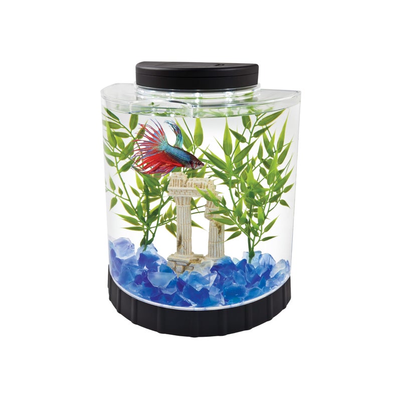 Tetra 1 Gallon Half Moon Small Fish Tank w/ Movable LED Light, For Betta & Gold Fish, Aquarium - Image 1