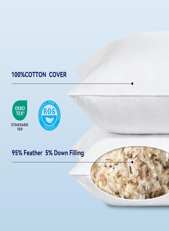 SLEEP ZONE Throw Pillows Insert 18x18(Pack of 2, White), Down Feather Throw Pillow Insert for Sofa, Bed and Couch, Decorative Pillows, 100% Skin-Friendly Cotton Cover - Image 2