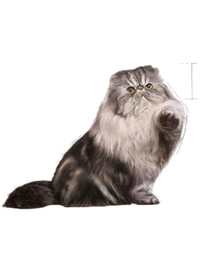 Royal Canin Persian Adult Wet Cat Food - 85G - Image 4