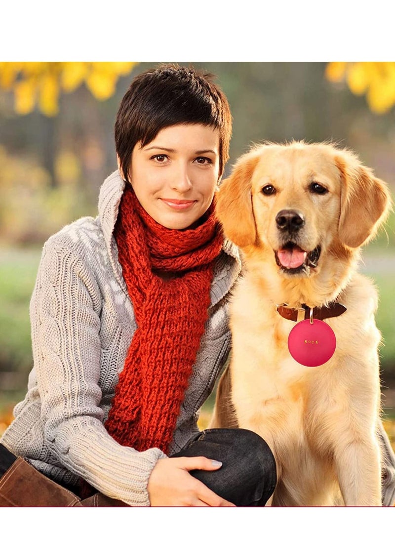 KASTWAVE Silicone Resin Molds Set Heart Cat Paw Mold Dog Tag Charm Resin Molds with 10Pcs Blank Keychains Small Letters DIY Crafts Making Keychain Molds Silicone Kit (7 pcs) - Image 3