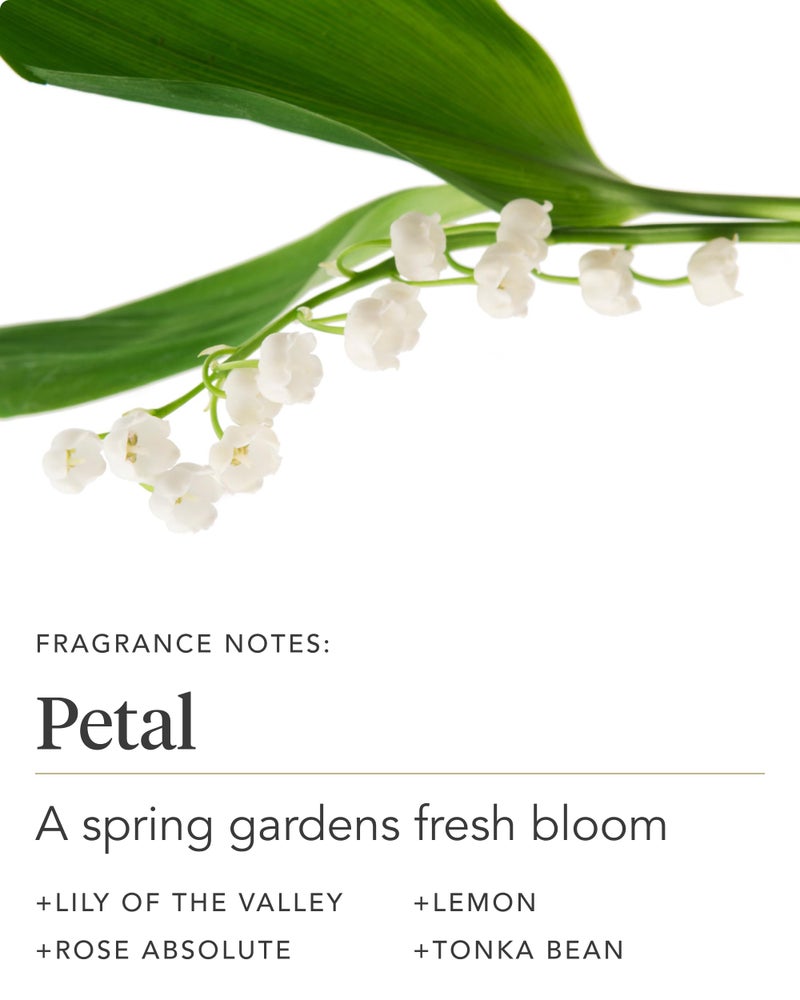 Zents Age-Defying Probiotic Body & Hand Lotion (Petal) | Moisturizing Lotion with Hyaluronic Acid & Organic Shea Butter | Nourishes & Hydrates Skin | 6.4 fl oz - Image 4