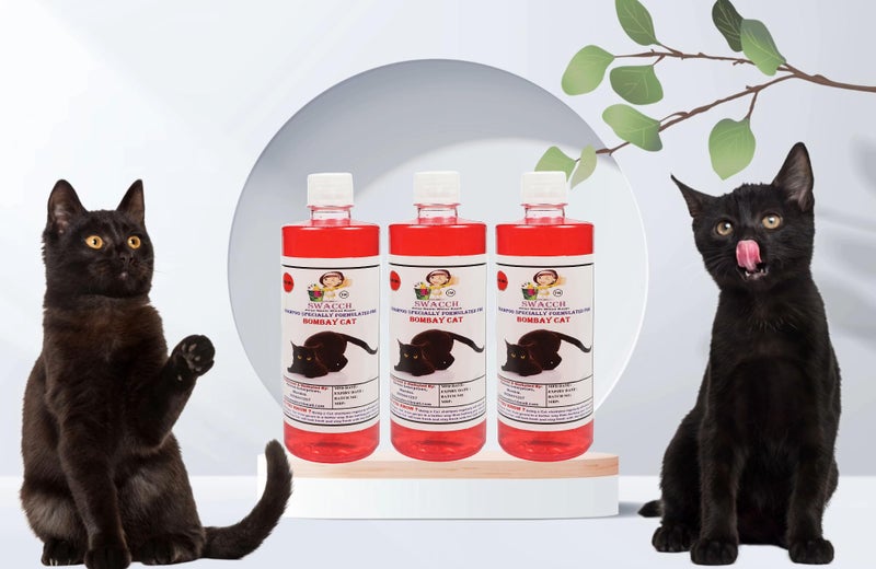 SWACCH Shampoo Specially FORMULATED for Bombay CAT (500ML) (Pack of 3) Jasmine - Image 1