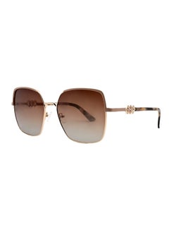 دلس نظارات شمسية مستقطبة كبيرة الحجم دي إل إس طراز MS9006-C4  - Image 1