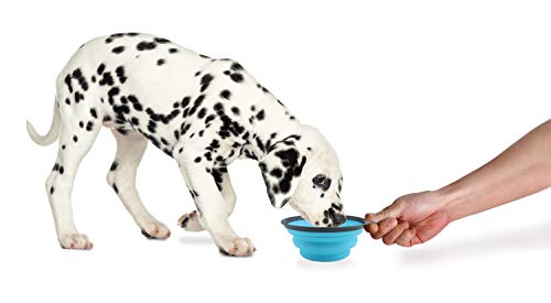 Dexas Popware for Pets Collapsible Travel Cup, Small, Gray/Blue - Image 4