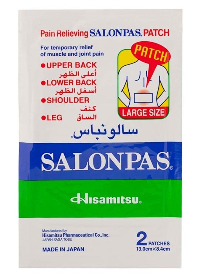 سالون باس حجم كبير 2 باتش