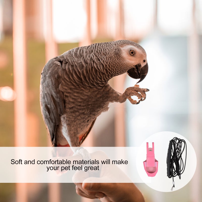 Budgie Cockatiel Diaper Bird Parrot Flight Suit Clothes with 4M Leash - Image 2