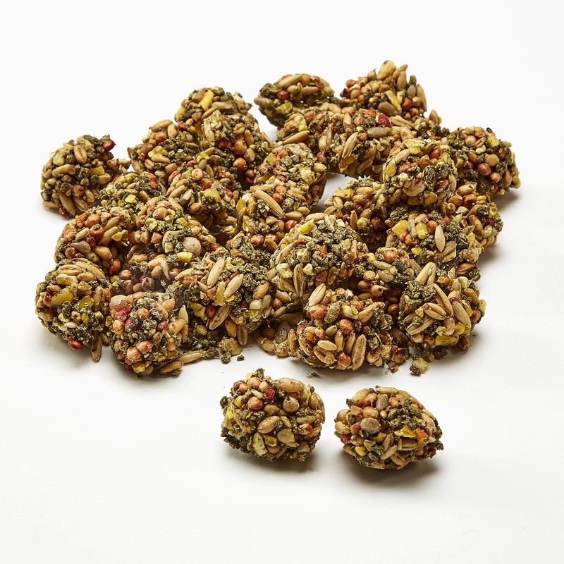 Kaytee Healthy Bits Treat Rabbit and Guinea Pig 4.5 oz - Image 4