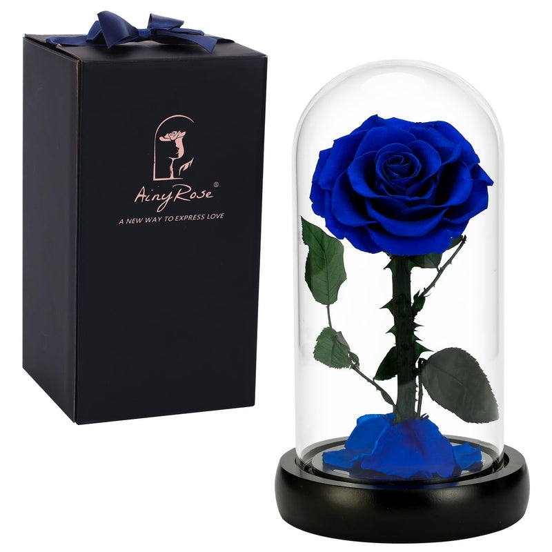 Forever Preserved Real Rose Flower Birthday Gifts for Mom WomenValentines Gifts Black Eternal Flower in Glass Gifts for Valentines Day Mothers Day Christmas Anniversary Birthday