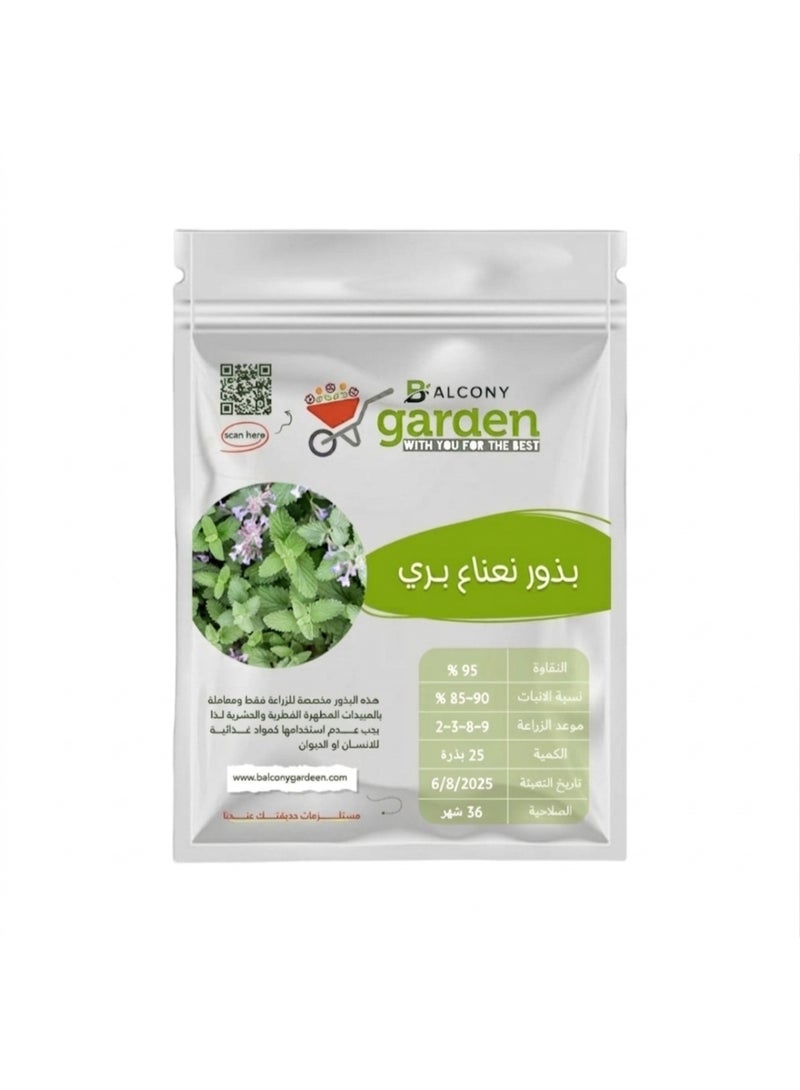 High-quality imported catnip seeds - 25 seeds per pack - Natural aromatic herb seeds for home gardening and gardening