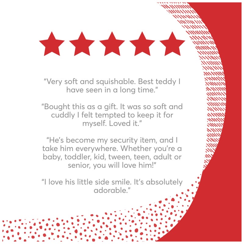 GUND Grahm Teddy Bear, Premium Stuffed Animal for Ages 1 and Up, Brown, 18â€ - Image 4