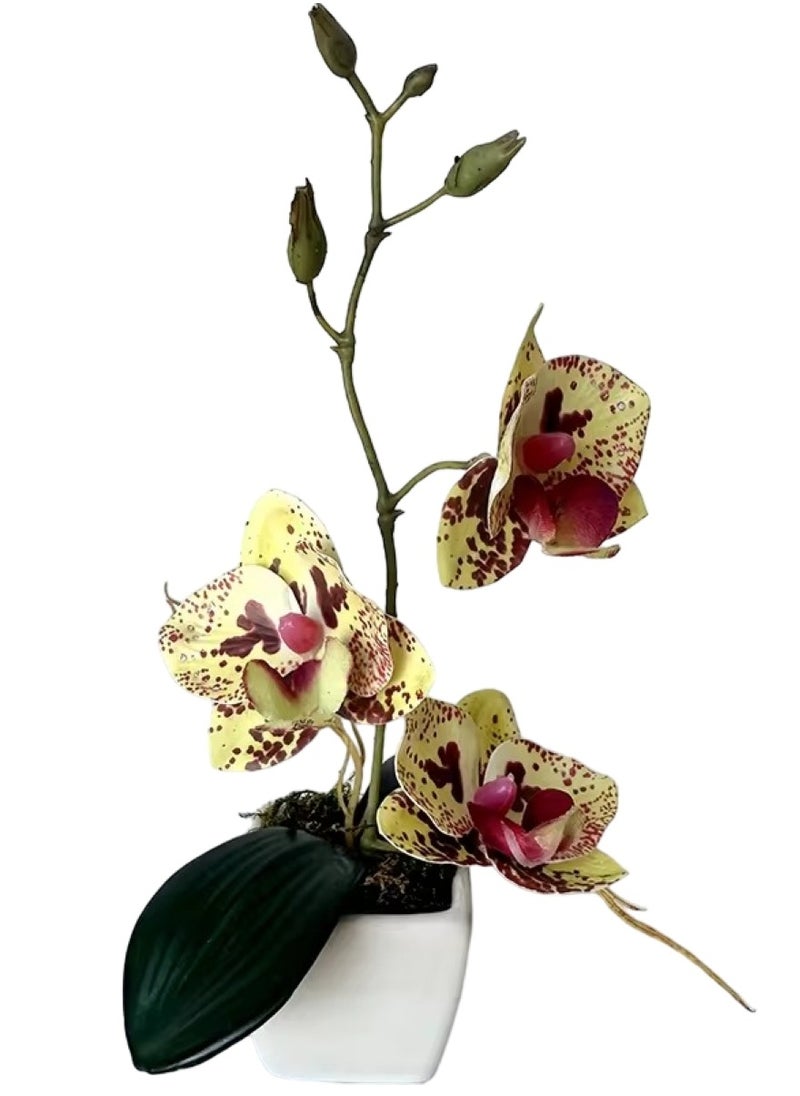 Huitich Artificial Phalaenopsis Whiskers Mini Potted Beauty Yellow  - Image 1