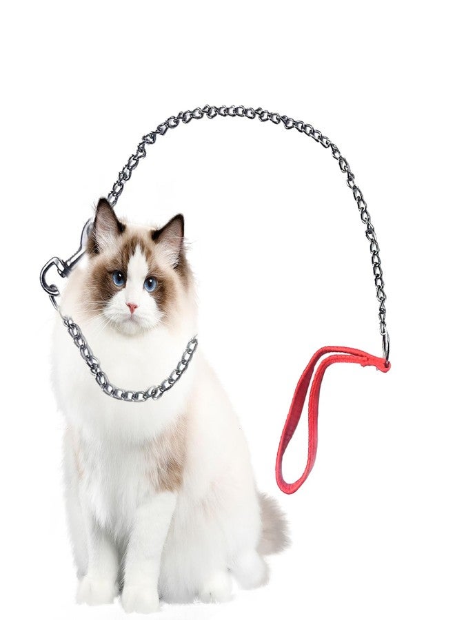 Azuline Chain Dog Leashes for Large Dogs Heavy Duty Non-chewable Dog Leash 4FT Chain with Padded Handle for Large & Medium - Image 5