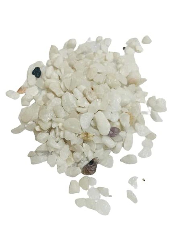 Awesome Agrizone Polished Marble Crush Stone Pebbles For Home Decor Stones 1300gm (White). - Image 1