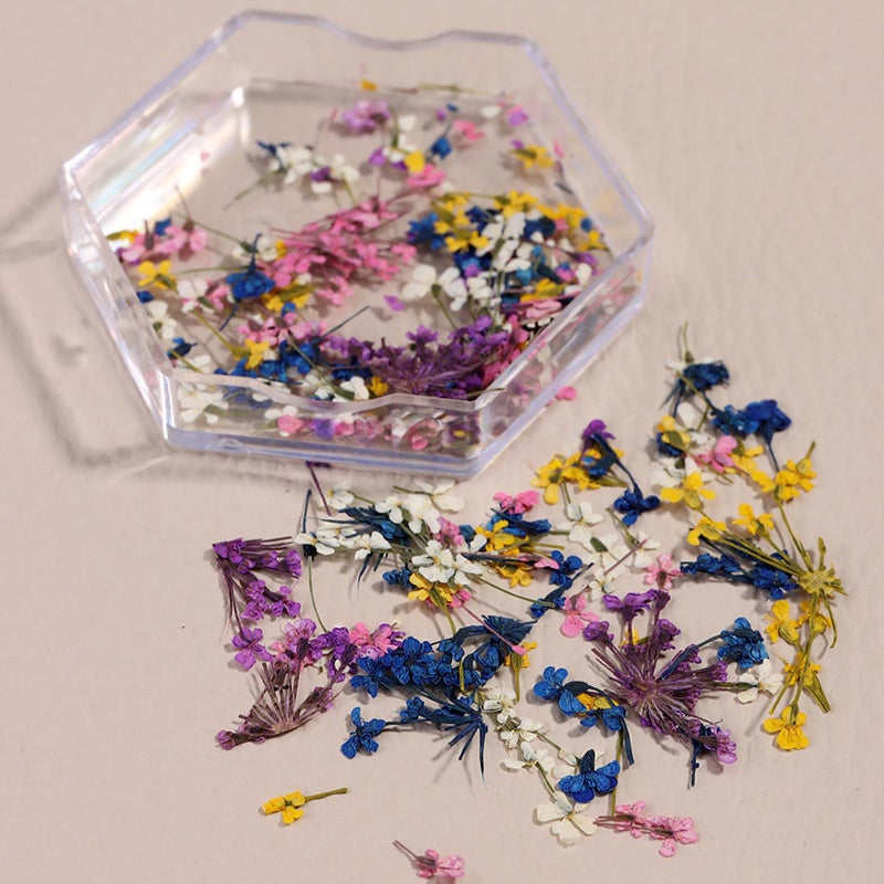 SILPECWEE 4 Boxes 3D Dried Flowers Nail Art Stickers Natural Dry Flowers Nail Stickers Decals Mix Tiny Floral Petals Colorful Flower for Nails Crafts for Women DIY Manicure Decorations - Image 5