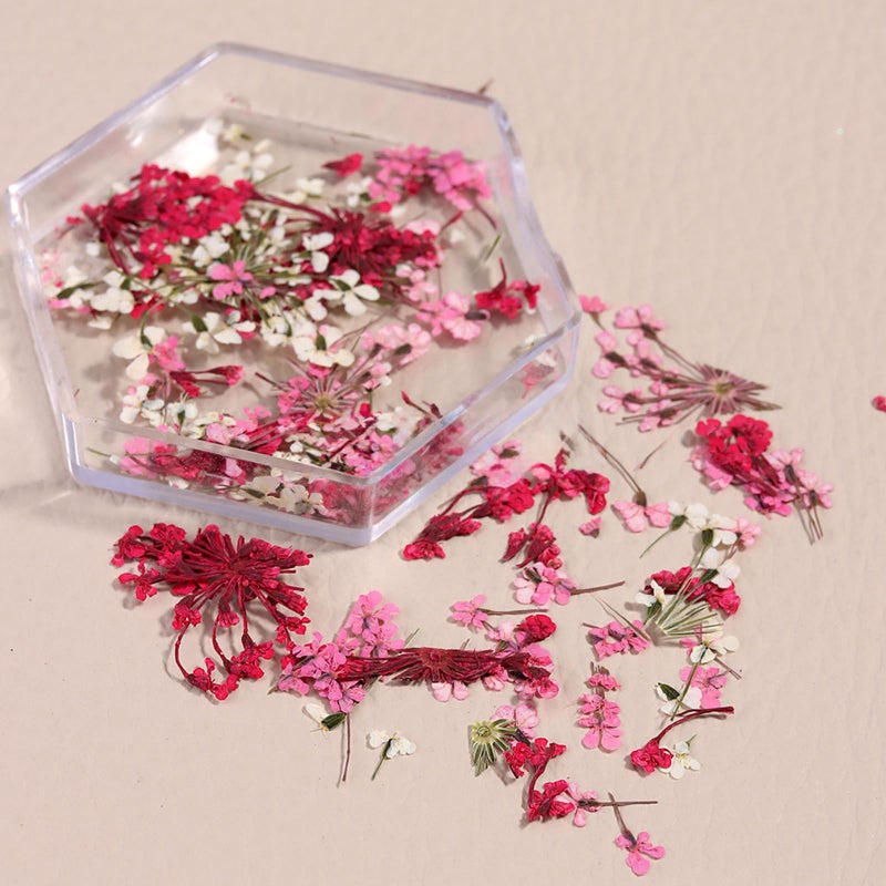 SILPECWEE 4 Boxes 3D Dried Flowers Nail Art Stickers Natural Dry Flowers Nail Stickers Decals Mix Tiny Floral Petals Colorful Flower for Nails Crafts for Women DIY Manicure Decorations - Image 4