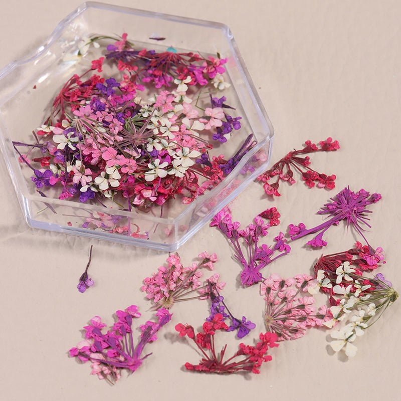 SILPECWEE 4 Boxes 3D Dried Flowers Nail Art Stickers Natural Dry Flowers Nail Stickers Decals Mix Tiny Floral Petals Colorful Flower for Nails Crafts for Women DIY Manicure Decorations - Image 3