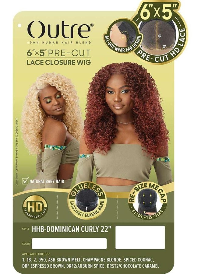 Outre 6X5 Pre-Cut Lace Closure Wig - Human Hair Blend - Dominican Curly 22" (JET BLACK 1) - Image 2