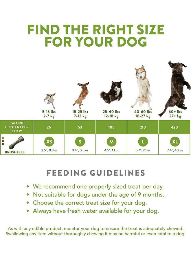 ويمزيس مكافآت الأسنان من Whimzees Brushzees - عبوة صغيرة 24 قطعة - عبوة من 33 قطعة - Image 1