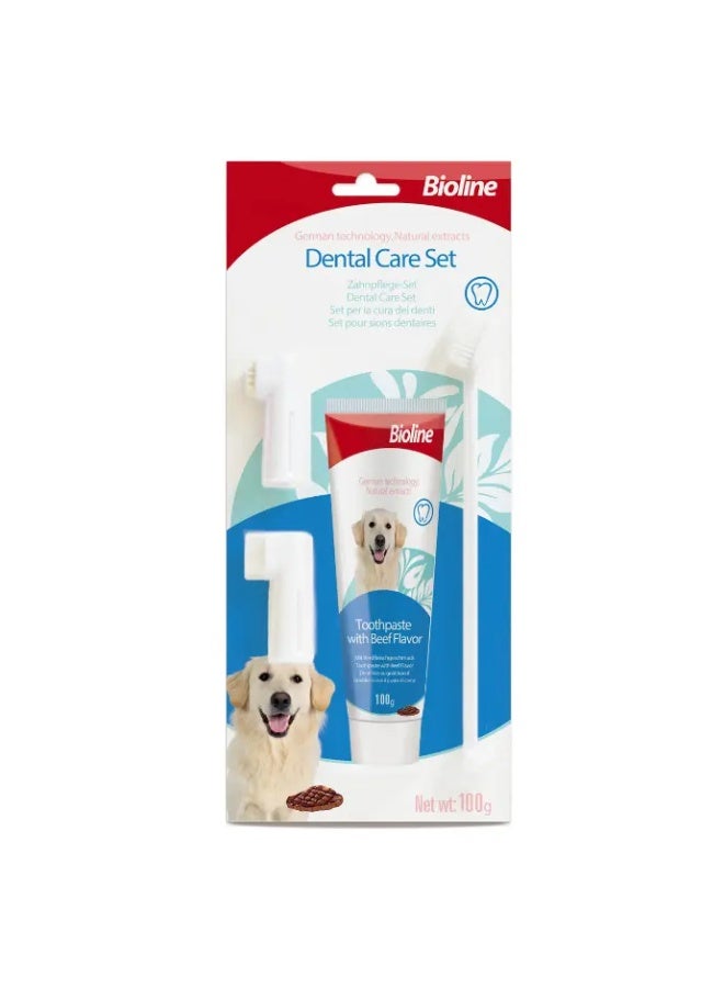 بايولاين مجموعة العناية بالأسنان من بيولاين [الوزن - 100 غرام، النكهة - لحم بقري] - Image 1
