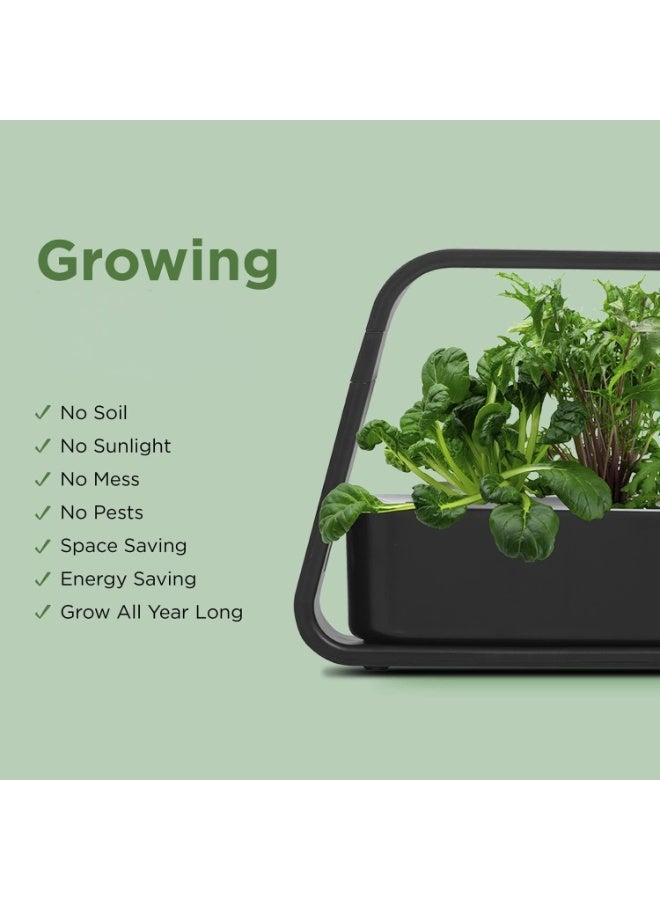 مجموعة نظام زراعة مائية، حديقة أعشاب داخلية مع ضوء نمو LED كامل الطيف، مضخة ذكية هادئة، هدية مثالية للمطبخ (أسود) - Image 4