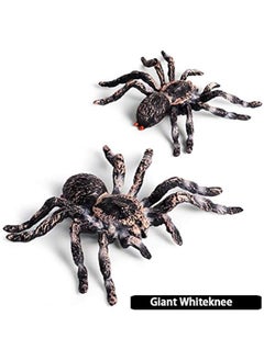 General Realistic Animal Figures - Spider Action Model Lifelike Insect Toy Figures - Educational Learning Toys Birthday Set for Boys Girls Kids Toddlers (Giant Whiteknee)  - Image 3