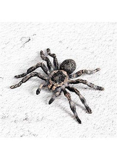 General Realistic Animal Figures - Spider Action Model Lifelike Insect Toy Figures - Educational Learning Toys Birthday Set for Boys Girls Kids Toddlers (Giant Whiteknee)  - Image 4