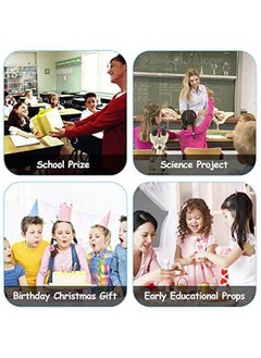 General Realistic Animal Figures - Spider Action Model Lifelike Insect Toy Figures - Educational Learning Toys Birthday Set for Boys Girls Kids Toddlers (Giant Whiteknee)  - Image 5