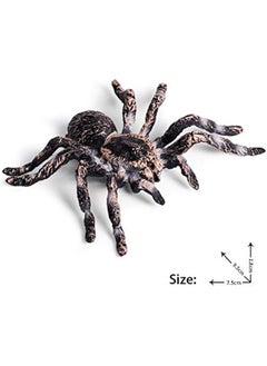 General Realistic Animal Figures - Spider Action Model Lifelike Insect Toy Figures - Educational Learning Toys Birthday Set for Boys Girls Kids Toddlers (Giant Whiteknee)  - Image 2