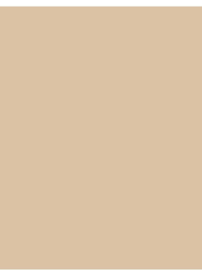 flormar NP Perfect Coverage Fdt- 131 Warm Nude Warm Nude - Image 3