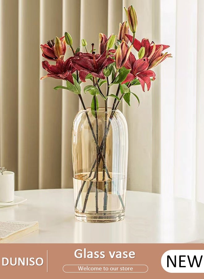 DUNISO Glass Vases for Decor, Decorative Vases for Flowers, Aesthetic Clear Vases for Living Room Decorations, Modern Hydroponic Glass Transparent Vase Vase for Dining Table Home Decor - Image 1