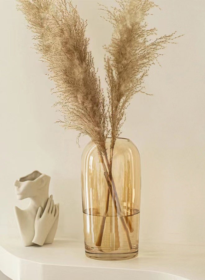 DUNISO Glass Vases for Decor, Decorative Vases for Flowers, Aesthetic Clear Vases for Living Room Decorations, Modern Hydroponic Glass Transparent Vase Vase for Dining Table Home Decor - Image 5