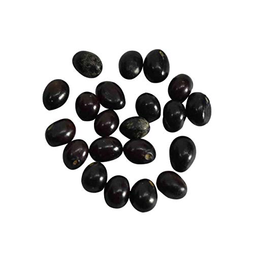 RDK SON'S® Natural Black Gunja Ratti | Black Gunja Chirmi Kala Gunja Black Gunja Ratti Guaranteed Gunja Seeds Beads (Black Chirmi, 51 Pieces) - Image 2