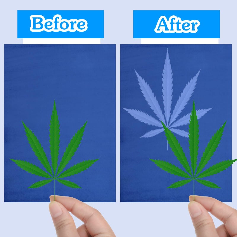 Eersida 60 Sheets Sun Print Paper Kit Cyanotype Paper High Sensitive Solar Paper Nature Solar Activated UV Sun Printing Art Drawing Paper for Kids Arts Crafts DIY Project(4.13 X 5.83 Inch,Light Color) - Image 3