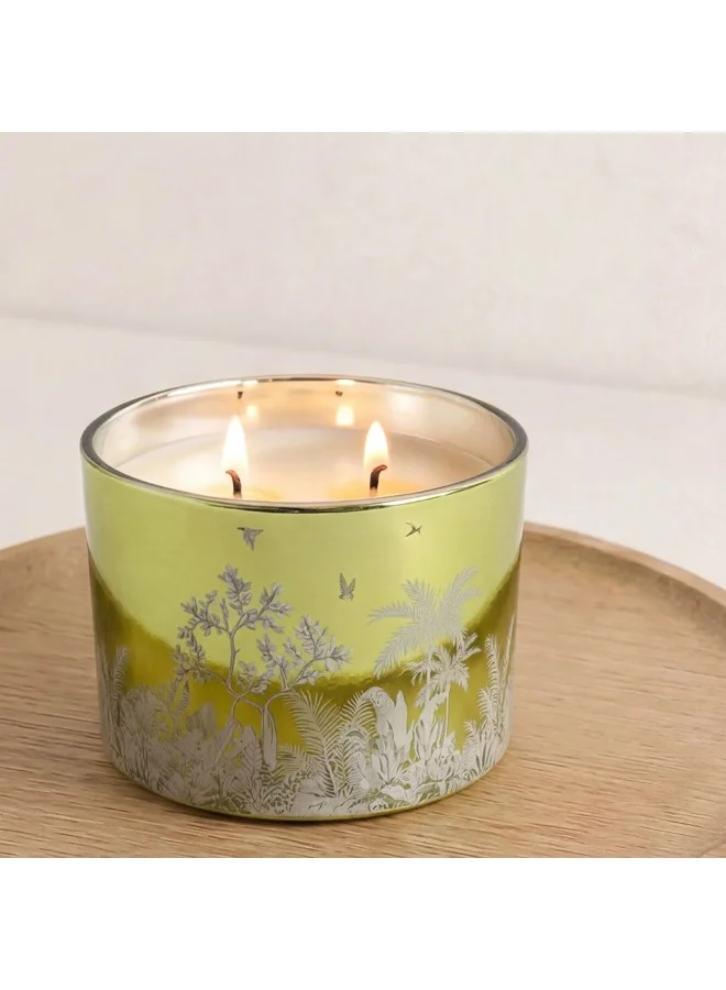 دانوب هوم Pine Eucalyptus Scented Candle 220g Jar Candle Long Lasting Home Fragrance Relaxing Aroma