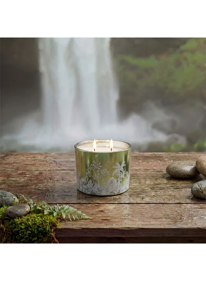 دانوب هوم Pine Eucalyptus Scented Candle 220g Jar Candle Long Lasting Home Fragrance Relaxing Aroma