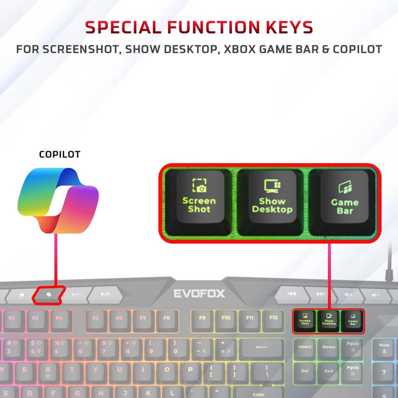 EvoFox Deathray v2 3 in 1 Gaming Keyboard & Mouse Combo with Puppet Master Deskpad | 6 Zone RGB Backlighting, 19 Anti Ghosting Keys, Membrane Keys, Ergonomic, Full-Size | 6 Buttons, 7 Color LED Lighting, Upto 3600DP | Extended Deskpad (Wired) - Image 4