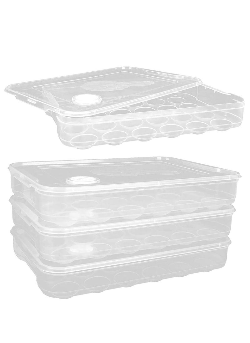 Premify Transparent Egg Storage Tray, Portable Egg Storage Box With Locking Lids, Egg Holder, Refrigerator Egg Container, Durable 48 Grid PP Egg Storage Tray for Refrigerator, Hiking, Outdoor, Camping Picnic  - Image 1