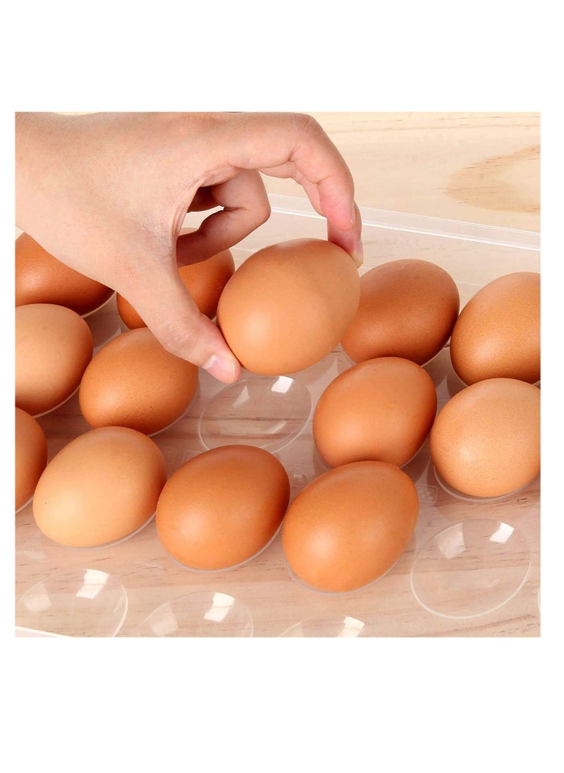 Premify Transparent Egg Storage Tray, Portable Egg Storage Box With Locking Lids, Egg Holder, Refrigerator Egg Container, Durable 48 Grid PP Egg Storage Tray for Refrigerator, Hiking, Outdoor, Camping Picnic  - Image 4