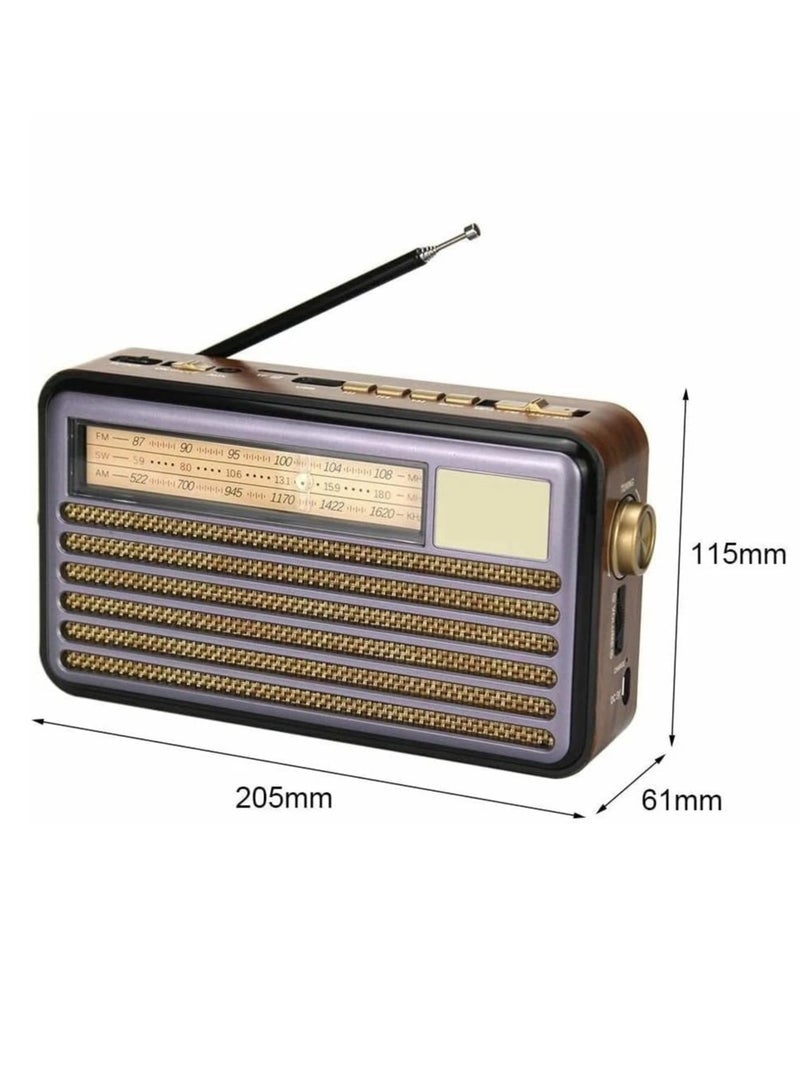 Denx Rechargeable Radio, Portable Radio AM FM Transistor with Best Sound, Solar/Battery Operated Radio, Support TF Card/USB Playing  - Image 5