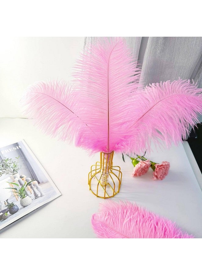Piokio 20pcs Pink Ostrich Feathers 10-12 inch (25-30cm) Bulk Feathers for Wedding Party Centerpieces, Home Decoration and DIY Clothing, Gatsby Decorations - Image 4