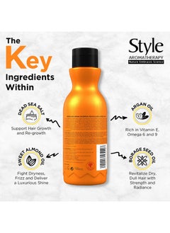 style aromatherapy Style Aromatherapy Professional Moroccan Argan Shampoo 400 ml | Sulphate Free | Paraben free | For Dry, Dull & All Hair types  - Image 4