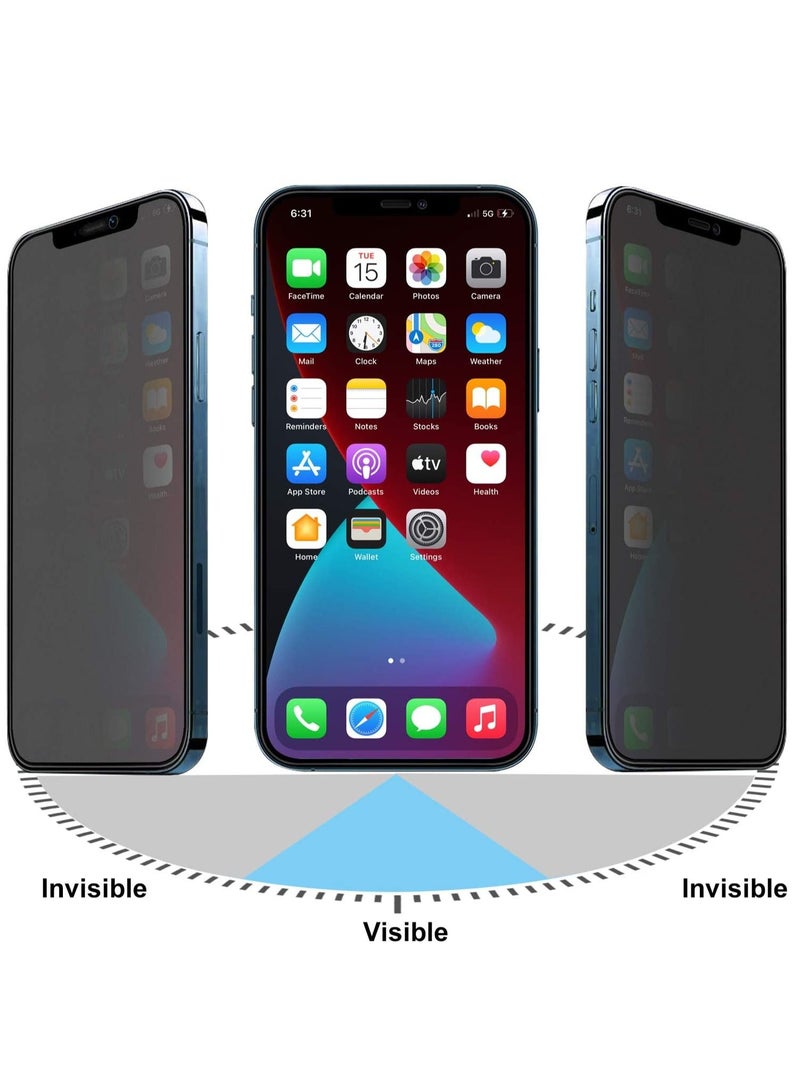 Zolo Anti-Spy Anti-Fingerprint Matt Privacy 9D Tempered Glass Screen Protector For Apple iPhone 13 pro Black