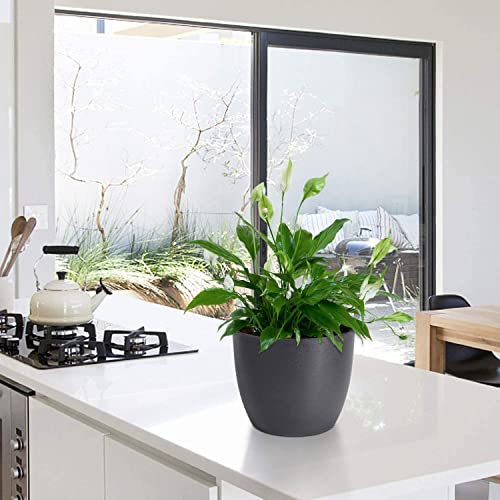 Tim Tim Agro Planters Plastic 10 Inch Black Set of 5, Plant Flower Pot Modern Decorative Seeding Nursery Pots Outdoor Indoor Garden for All House Plants Flowers Herbs African Violets (Black) - Image 4