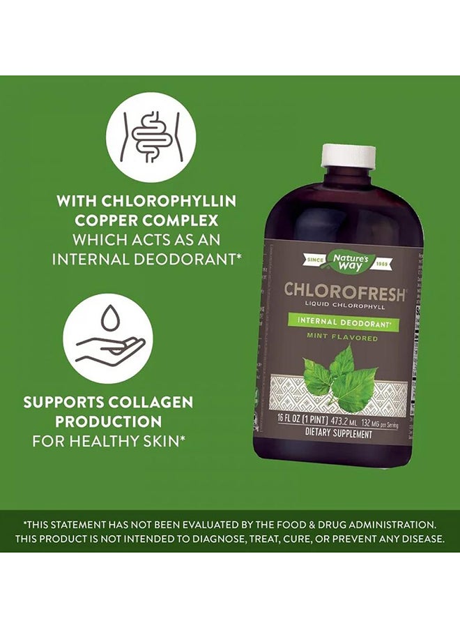 ناتشرز واي مكمل الكلوروفيل السائل كلوروفريش-نكهة النعناع 132 مجم، 16 أونصة سائلة (473.2 مل) - Image 2