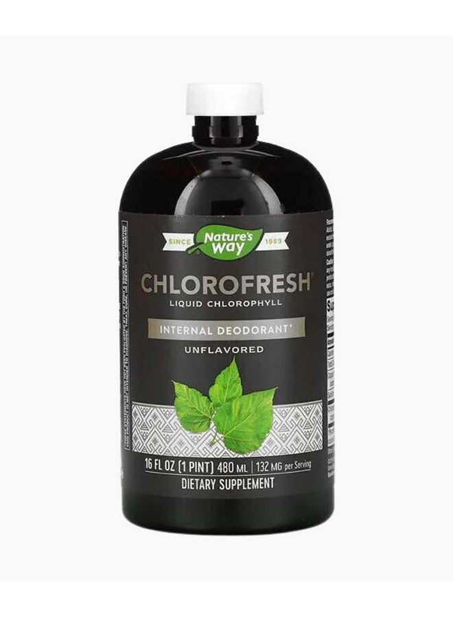 Nature's Way Chlorofresh Liquid Chlorophyll Mint 132 Mg 16 Fl Oz 480 Ml - Image 1