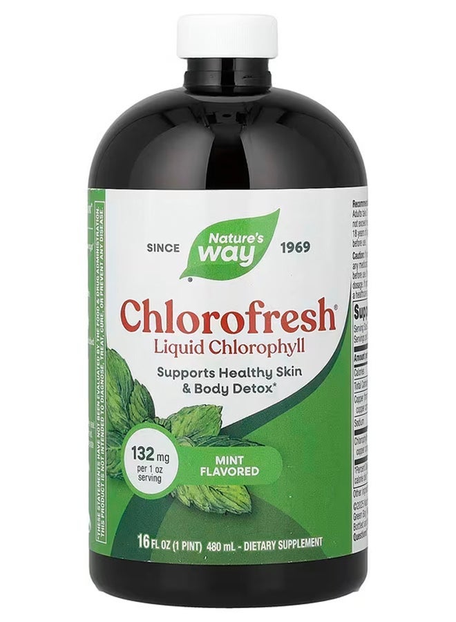 Nature's Way Chlorofresh Liquid Chlorophyll Mint 132 Mg 16 Fl Oz 480 Ml - Image 1