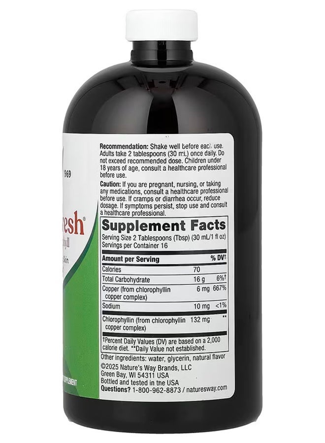 Nature's Way Chlorofresh Liquid Chlorophyll Mint 132 Mg 16 Fl Oz 480 Ml - Image 2