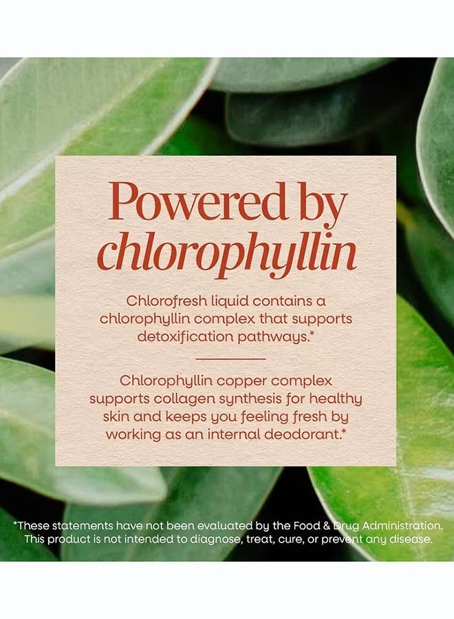 Nature's Way Chlorofresh Liquid Chlorophyll Mint 132 Mg 16 Fl Oz 480 Ml - Image 4