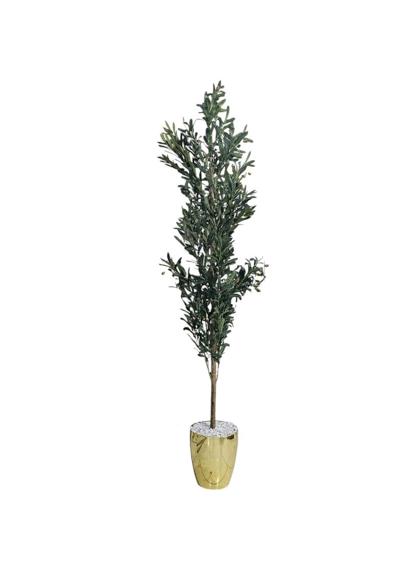 AL KHALDIYA Fruitful olive tree with a shiny golden pot, attractive design, make your home more elegant, 220 cm  - Image 4