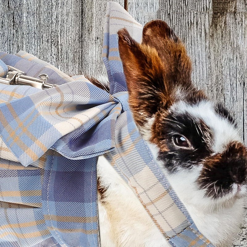 Adjustable Small Pet Harness Vest With Leash Blue Checkered For Rabbits Cats Bunny Traction Rope - Image 4